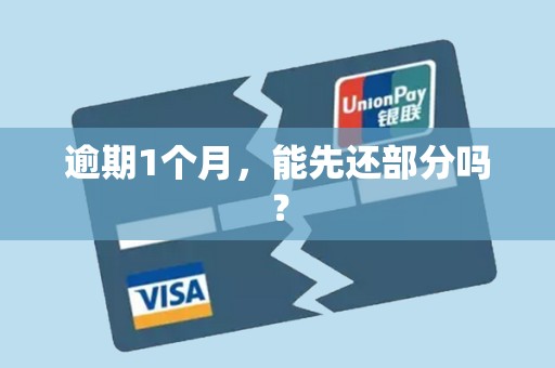 逾期1个月,能先还部分吗?