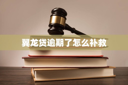 翼龙贷逾期了怎么补救