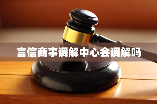 言信商事调解中心会调解吗