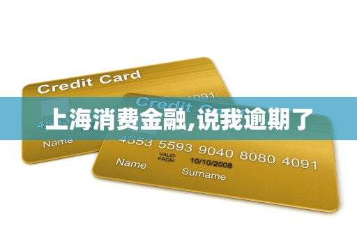 上海消费金融,说我逾期了