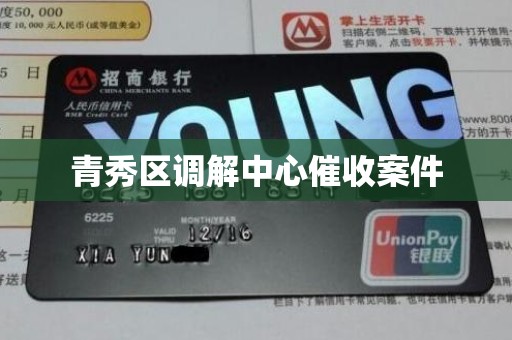 青秀区调解中心催收案件