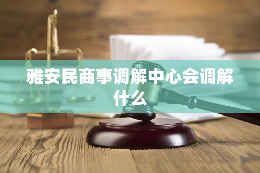 雅安民商事调解中心会调解什么