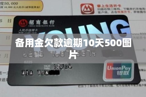备用金欠款逾期10天500图片