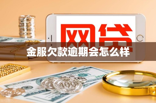 金服欠款逾期会怎么样