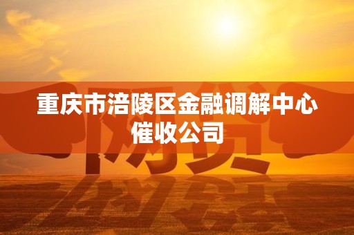重庆市涪陵区金融调解中心催收公司