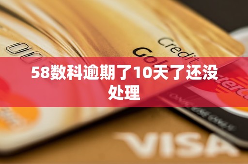 58数科逾期了10天了还没处理