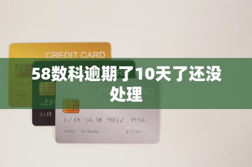 58数科逾期了10天了还没处理