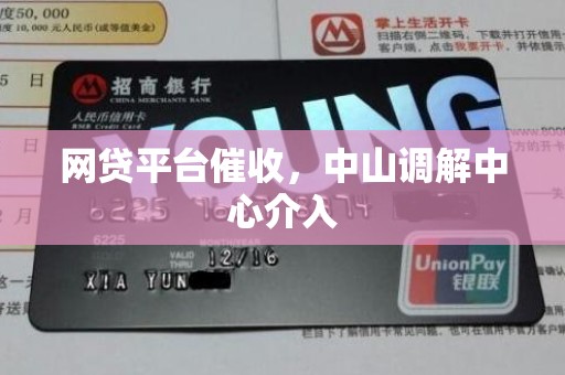 网贷平台催收,中山调解中心介入