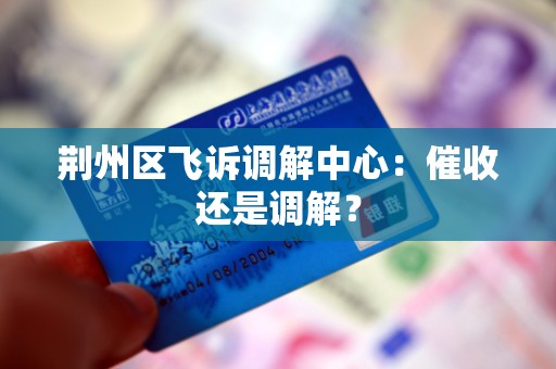 荆州区飞诉调解中心:催收还是调解?