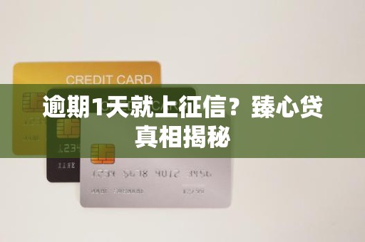 逾期1天就上征信?臻心贷真相揭秘