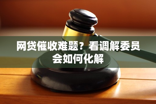 网贷催收难题?看调解委员会如何化解