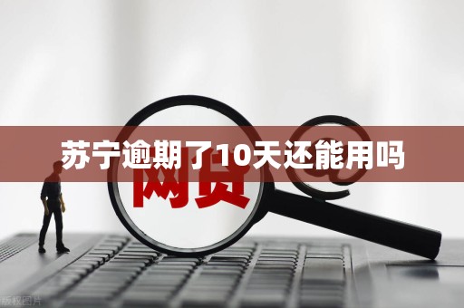 苏宁逾期了10天还能用吗