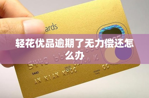 轻花优品逾期了无力偿还怎么办