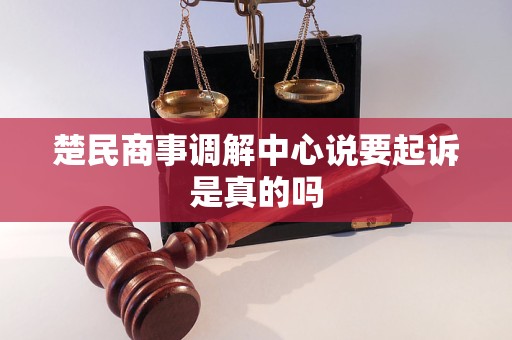 楚民商事调解中心说要起诉是真的吗