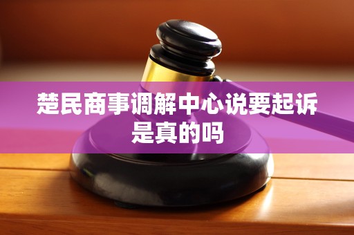 楚民商事调解中心说要起诉是真的吗