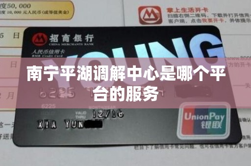 南宁平湖调解中心是哪个平台的服务