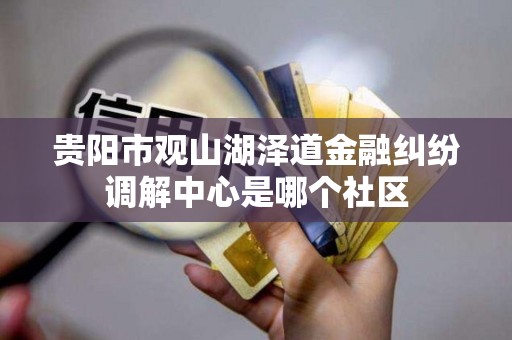 贵阳市观山湖泽道金融纠纷调解中心是哪个社区