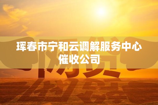 珲春市宁和云调解服务中心催收公司