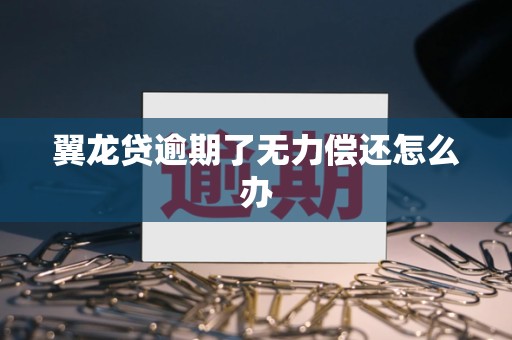 翼龙贷逾期了无力偿还怎么办