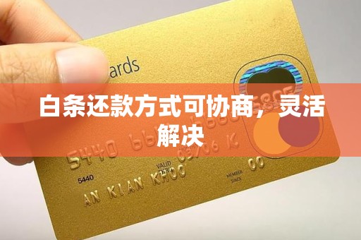 白条还款方式可协商,灵活解决