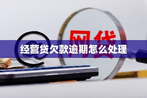 经营贷欠款逾期怎么处理