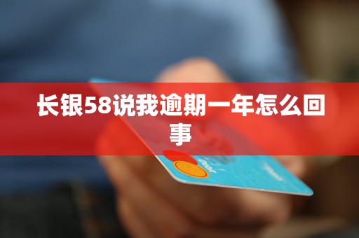 长银58说我逾期一年怎么回事
