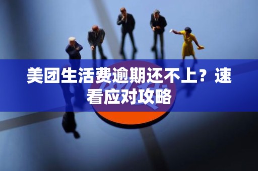 美团生活费逾期还不上?速看应对攻略