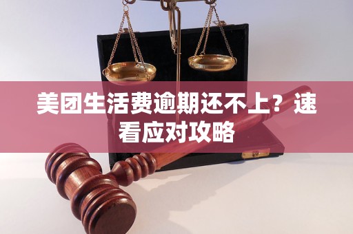 美团生活费逾期还不上?速看应对攻略