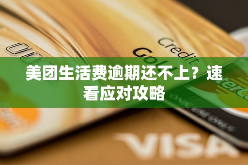 美团生活费逾期还不上?速看应对攻略