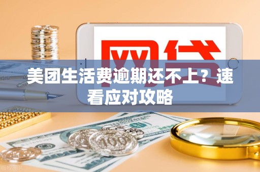 美团生活费逾期还不上?速看应对攻略