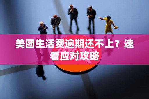 美团生活费逾期还不上?速看应对攻略