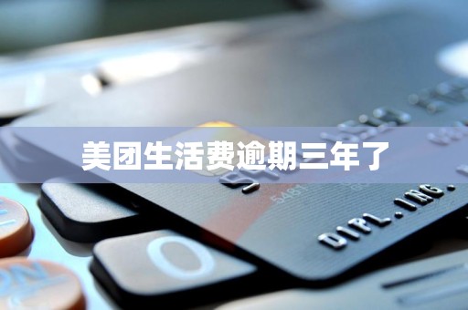 美团生活费逾期三年了