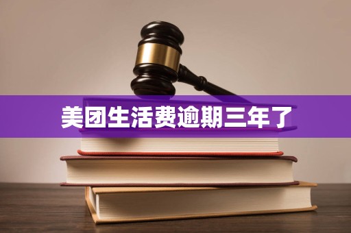 美团生活费逾期三年了