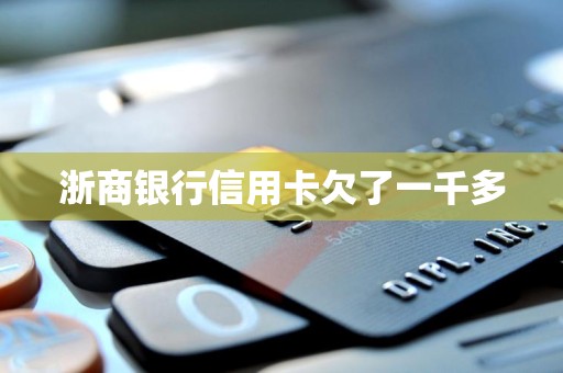 浙商银行信用卡欠了一千多