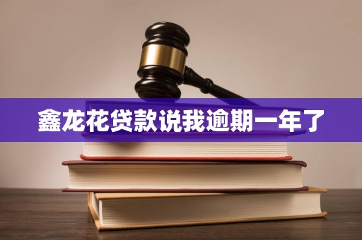 鑫龙花贷款说我逾期一年了