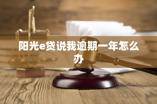 阳光e贷说我逾期一年怎么办