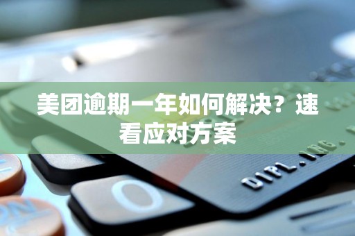 美团逾期一年如何解决？速看应对方案