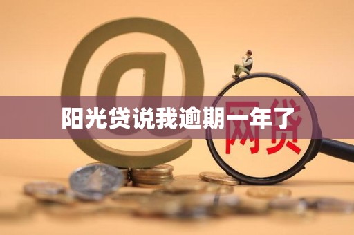 阳光贷说我逾期一年了