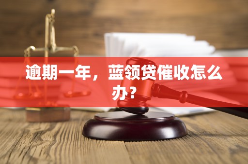 逾期一年，蓝领贷催收怎么办？