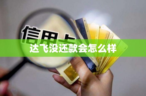 达飞没还款会怎么样