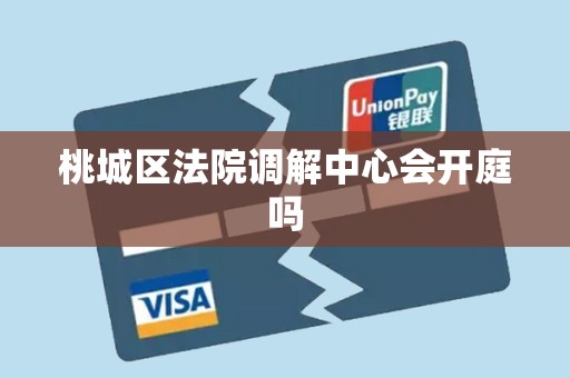 桃城区法院调解中心会开庭吗
