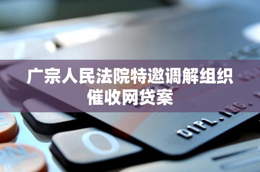 广宗人民法院特邀调解组织催收网贷案