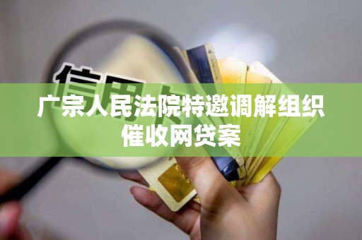 广宗人民法院特邀调解组织催收网贷案