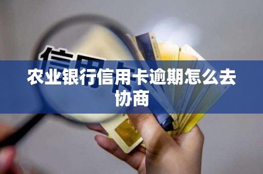 农业银行信用卡逾期怎么去协商