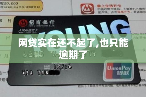 网贷实在还不起了,也只能逾期了