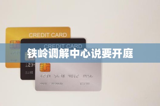 铁岭调解中心说要开庭