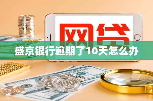 盛京银行逾期了10天怎么办