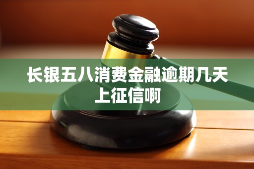 长银五八消费金融逾期几天上征信啊