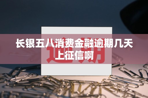 长银五八消费金融逾期几天上征信啊