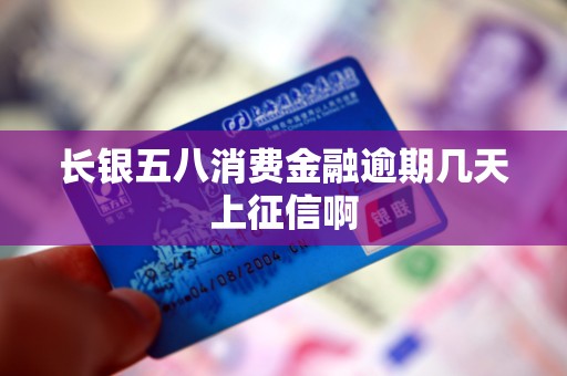 长银五八消费金融逾期几天上征信啊